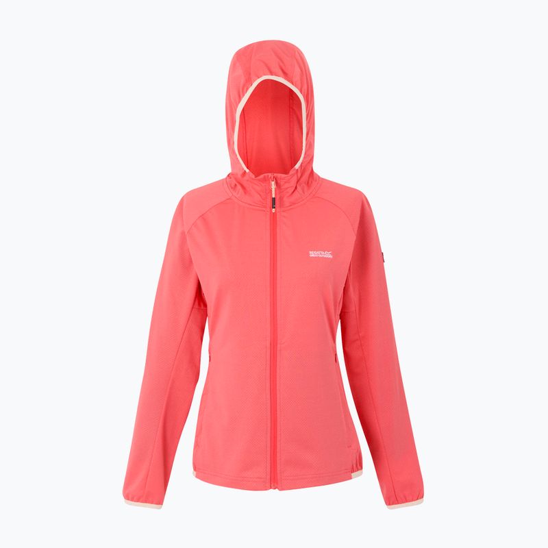 Damen-Trekking-Sweatshirt REGATTA Huntdale Pfirsichblüte 5