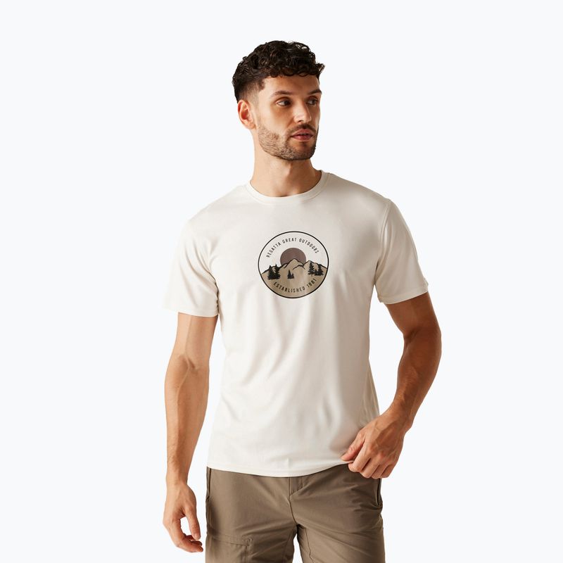 Trekking-Shirt Herren REGATTA Fingal IX stone white