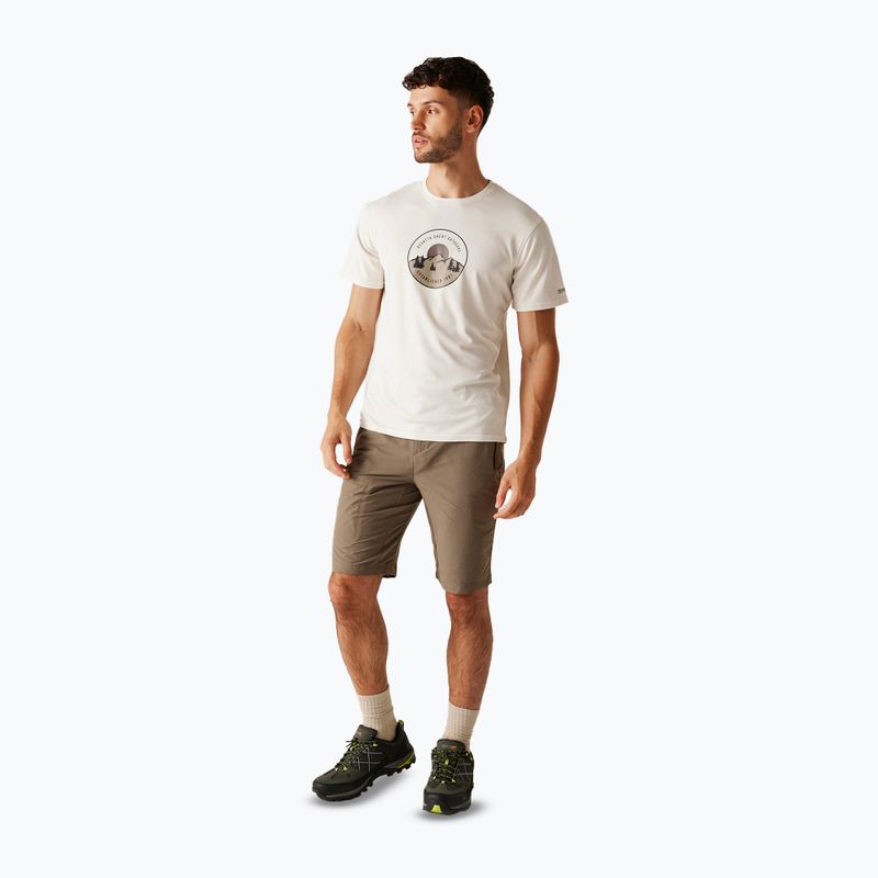Trekking-Shirt Herren REGATTA Fingal IX stone white 2