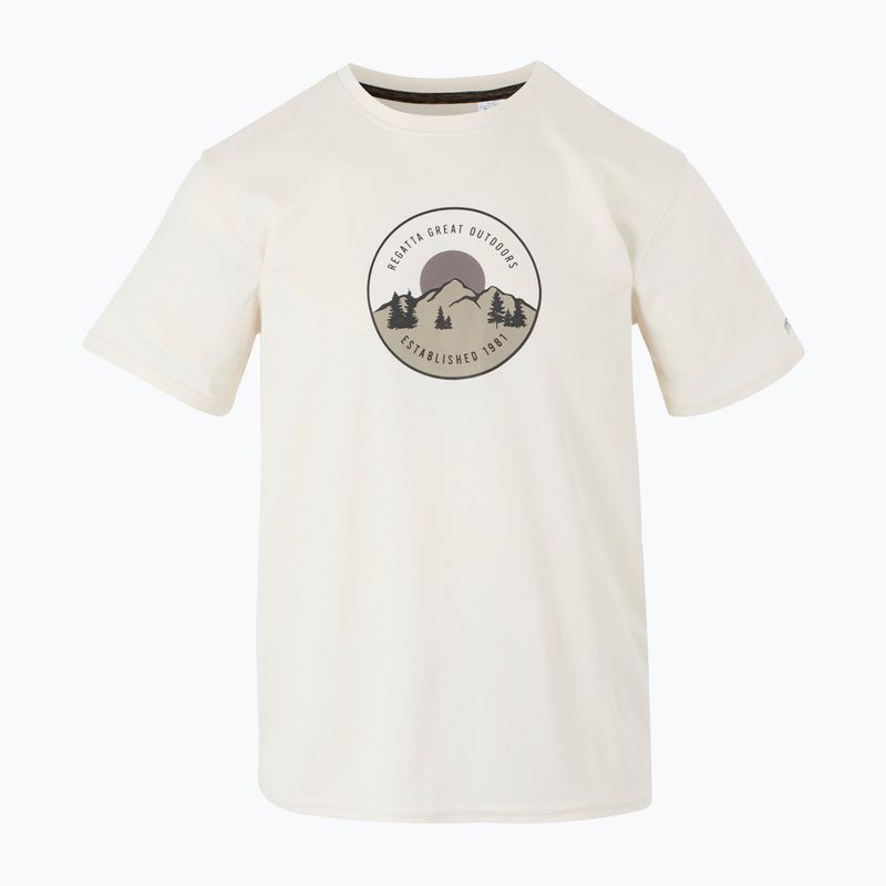 Trekking-Shirt Herren REGATTA Fingal IX stone white 5