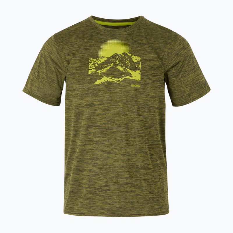 Trekking-Shirt Herren REGATTA Fingal IX nephrite green marl 5