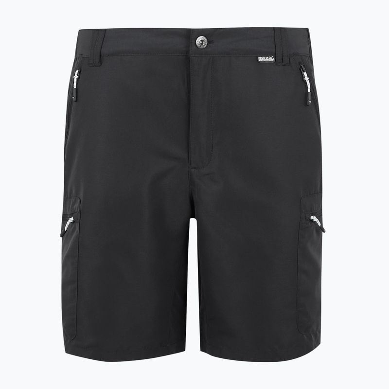 Trekking Shorts Herren REGATTA Leesville III ash 5