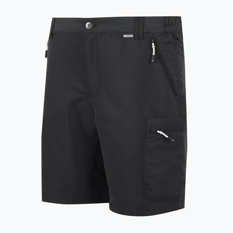 Trekking Shorts Herren REGATTA Leesville III ash 7
