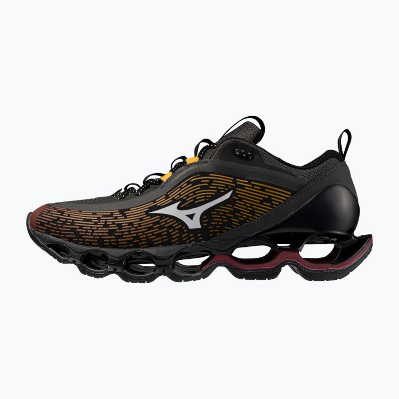 Schuhe Mizuno Wave Prophecy 13.2 Henna/Cloudscape/Black Oyster 2