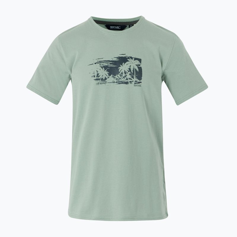 Shirt Herren Regatta ClineIX glacier beach 5