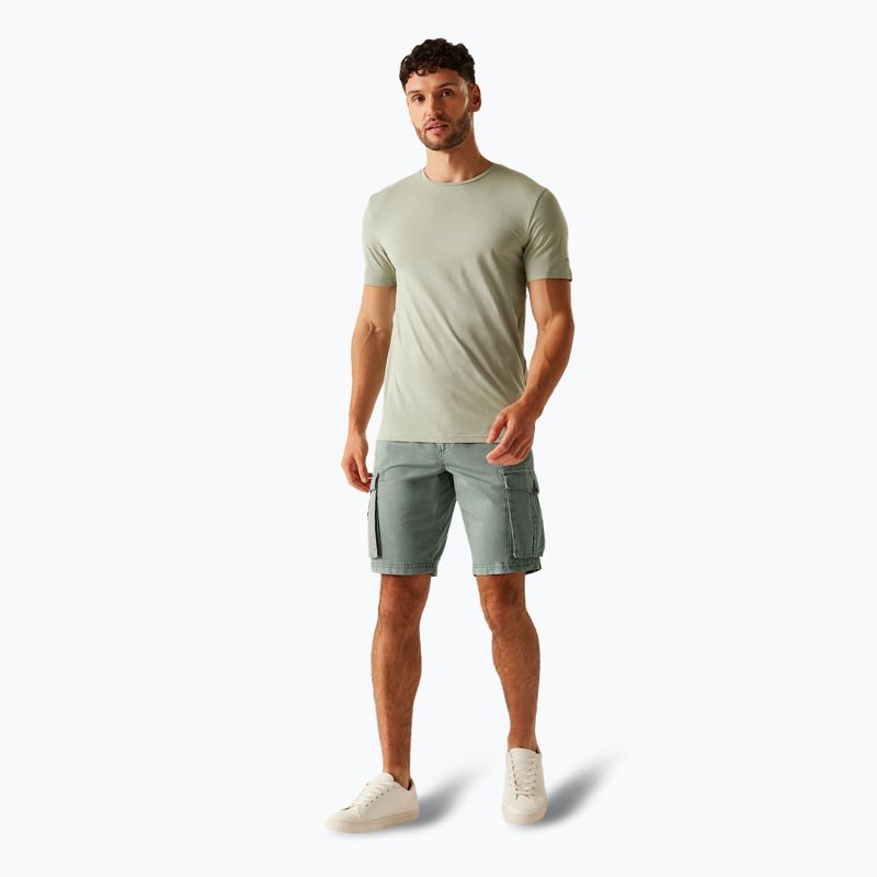 Herren REGATTA Shorebay II Sturm grau Trekking-Shorts 2