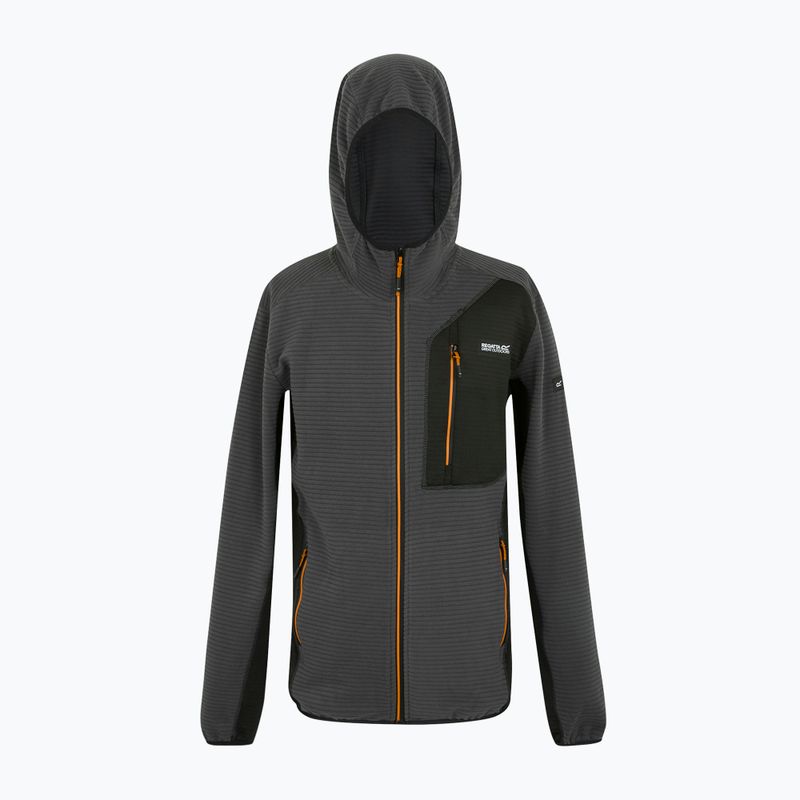 Hoodie Sweatshirt Herren REGATTA Lakewright ash/black 7
