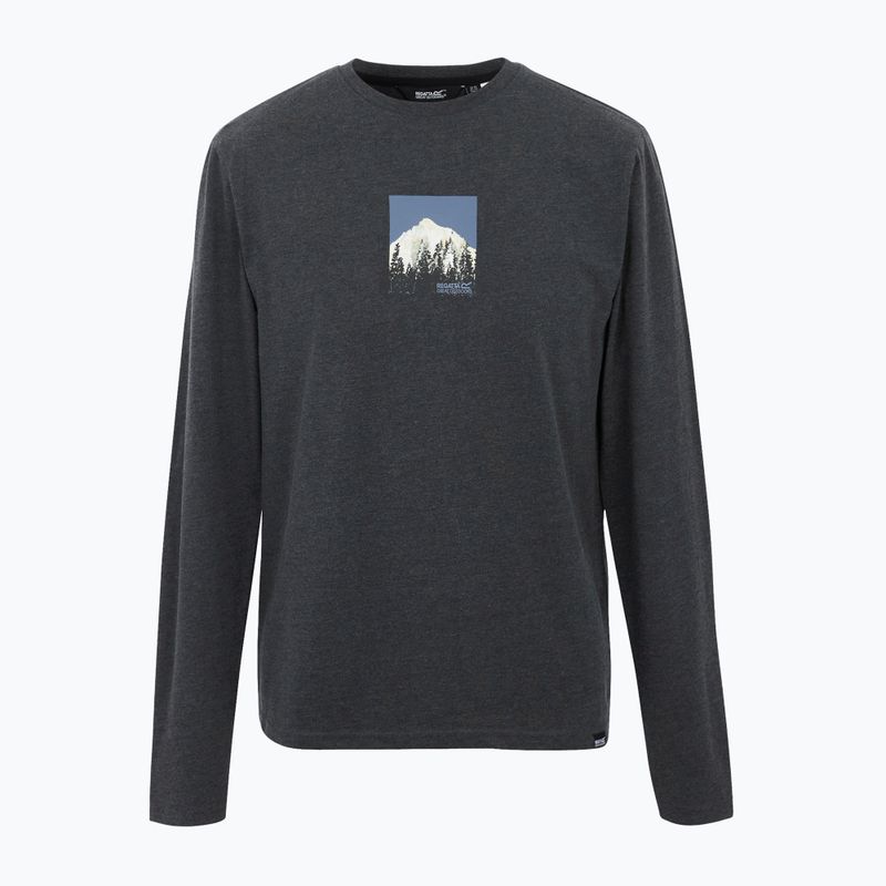 Herren T-Shirt REGATTA Maylow black 5