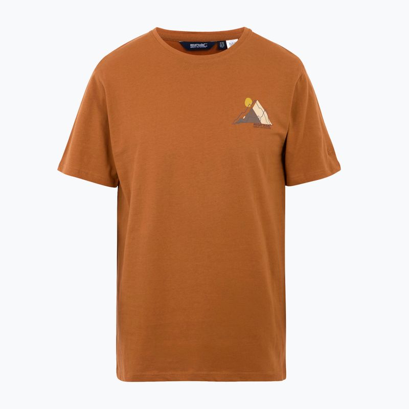 Herren-T-Shirt REGATTA ClineIX glazed ginger 5