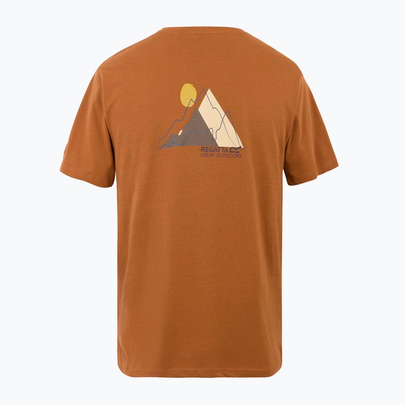 Herren-T-Shirt REGATTA ClineIX glazed ginger 6
