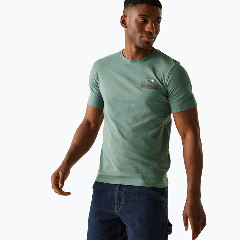 Herren-T-Shirt REGATTA ClineIX spruce green
