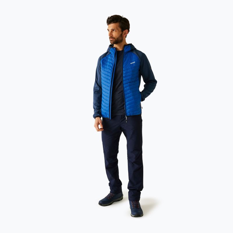 Herren-Hybridjacke REGATTA Andreson Hybrid snorkel blue/moonlight denim 2