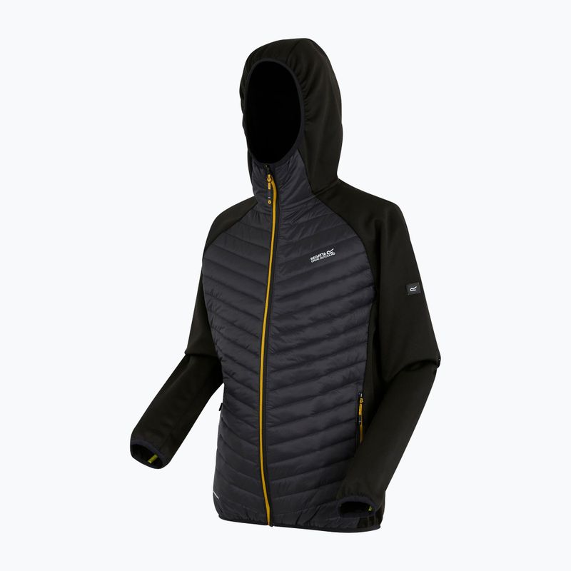 Herren-Hybridjacke REGATTA Andreson Hybrid black/ash/gold flake 7