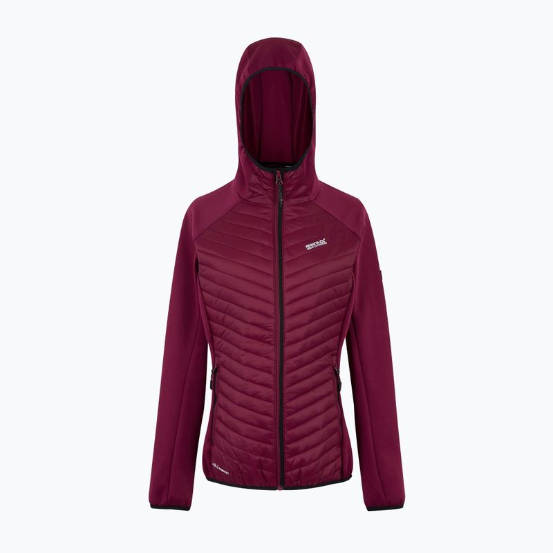 Damen-Hybridjacke REGATTA Andreson Hybrid dark pimento 5