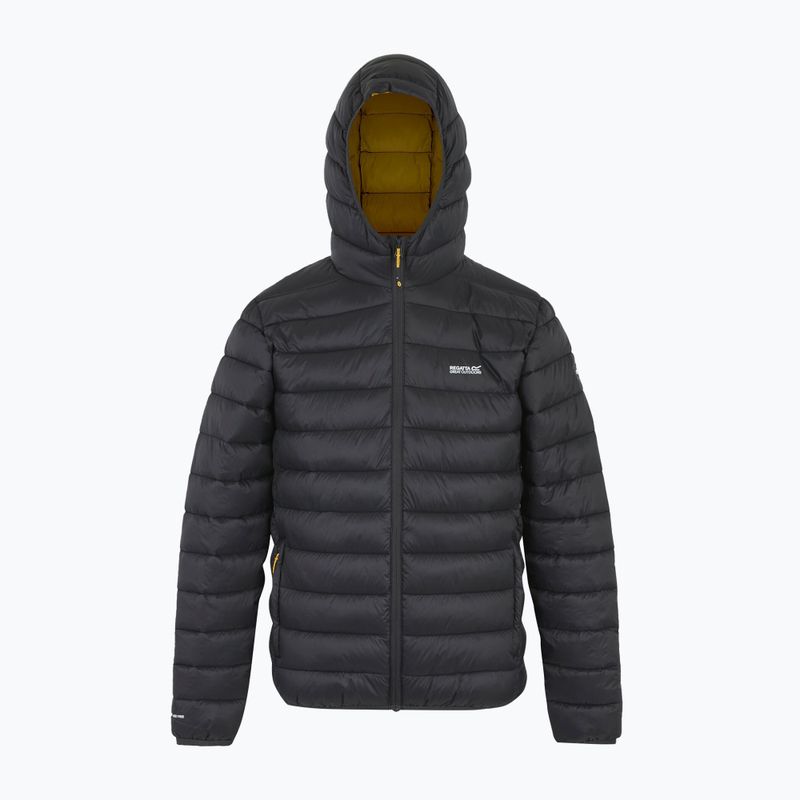 Herrenjacke REGATTA Hooded Marizion ash/gold 8
