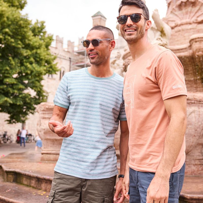 Herren-Shirt Regatta ClineIX Italian clay 8