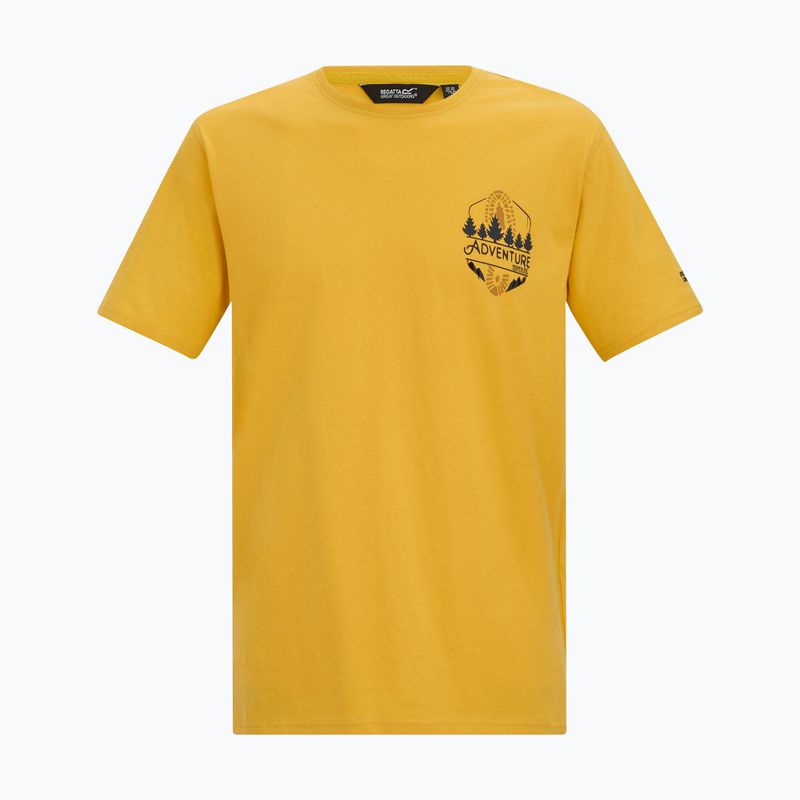 Herren-Shirt Regatta ClineIX ceylon yellow 5