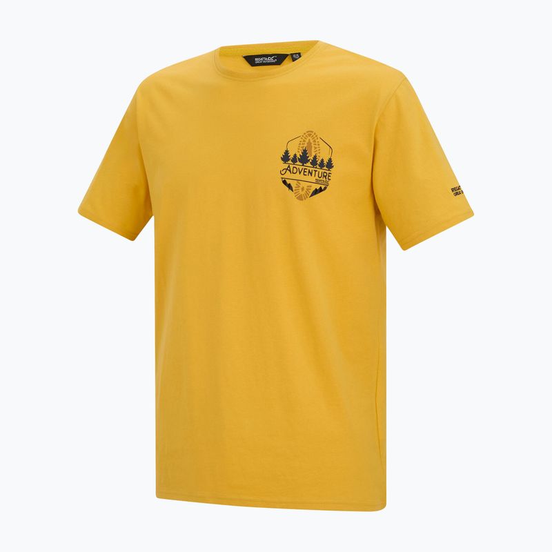 Herren-Shirt Regatta ClineIX ceylon yellow 7