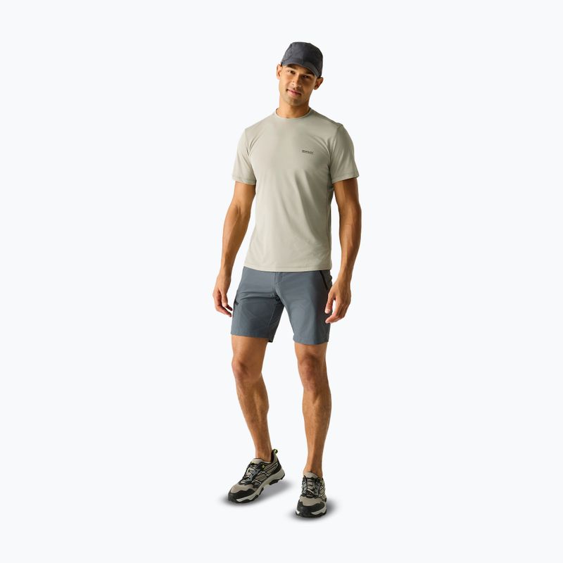 Herren-Trekking-T-Shirt REGATTA Mindoi Anti Insect abbeystone 2