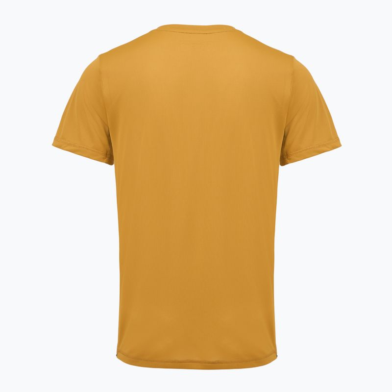Trekking-T-Shirt für Herren REGATTA Mindoi Anti Insect wood brown 2