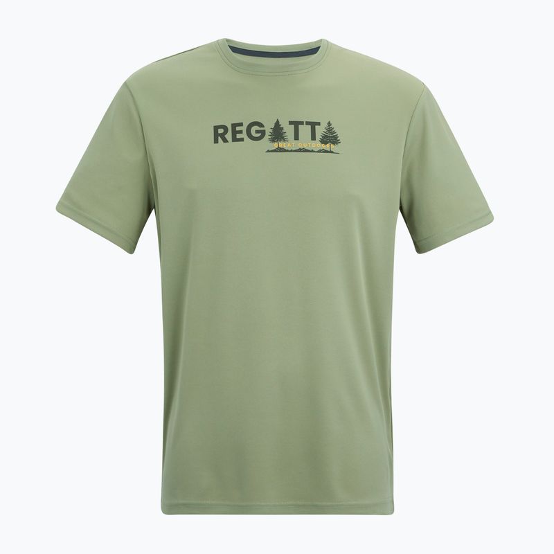 Trekkingshirt Herren REGATTA Fingal light sage 5