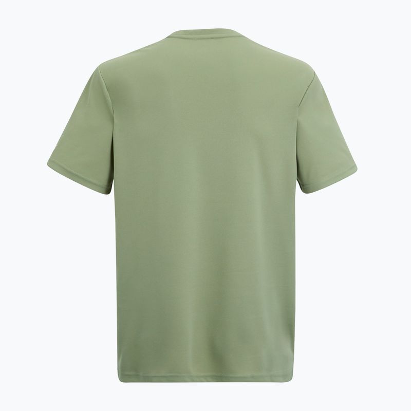 Trekkingshirt Herren REGATTA Fingal light sage 6