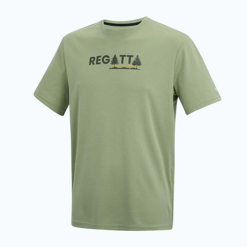 Trekkingshirt Herren REGATTA Fingal light sage 7