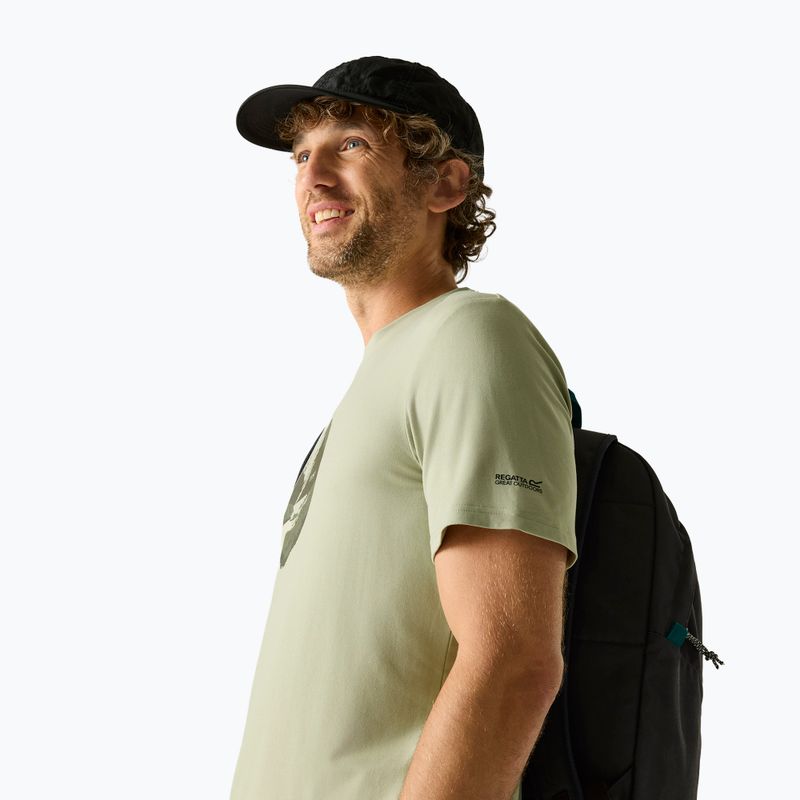 Trekkingshirt Herren REGATTA Fingal Stretch light sage 4