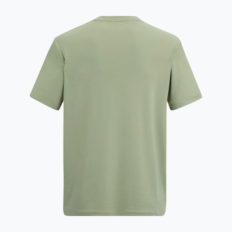 Trekkingshirt Herren REGATTA Fingal Stretch light sage 6