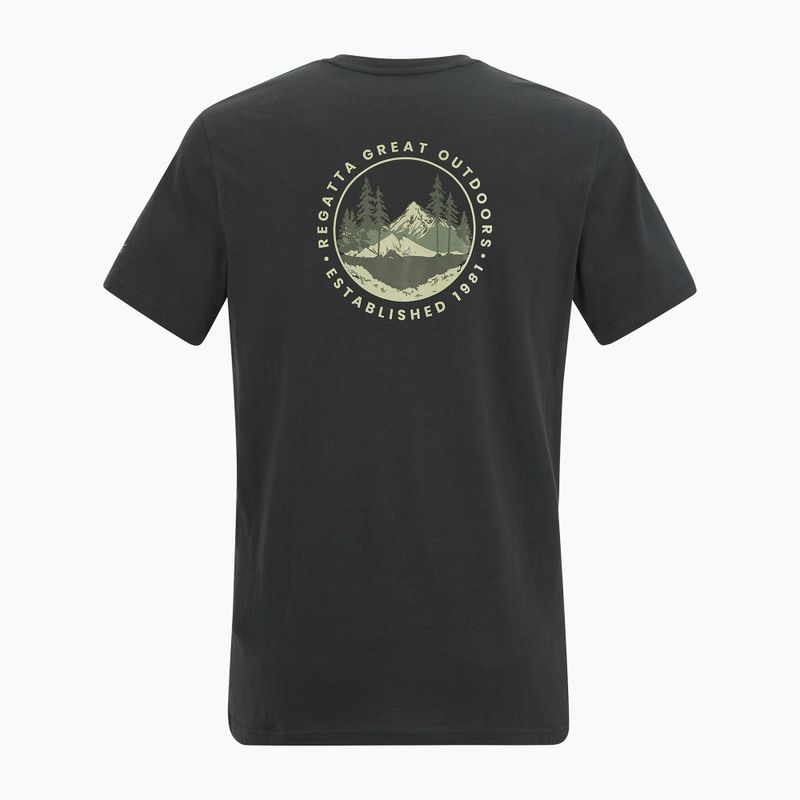 Herren-Trekkingshirt REGATTA Breezed ash 6