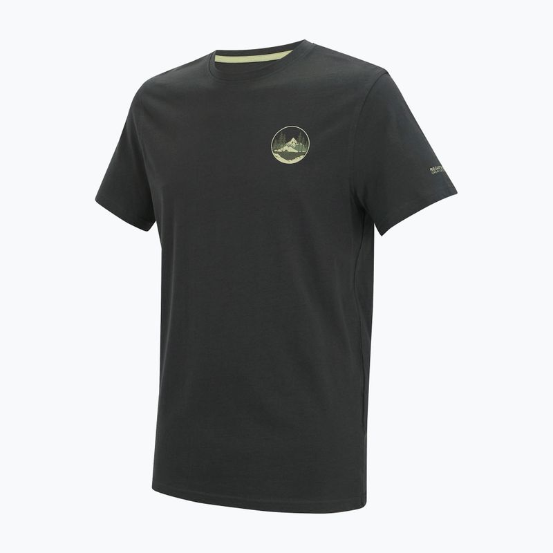 Herren-Trekkingshirt REGATTA Breezed ash 7