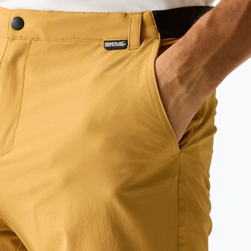 Herren-Trekkingshorts REGATTA Anti Insect Travel Light wood brown 4