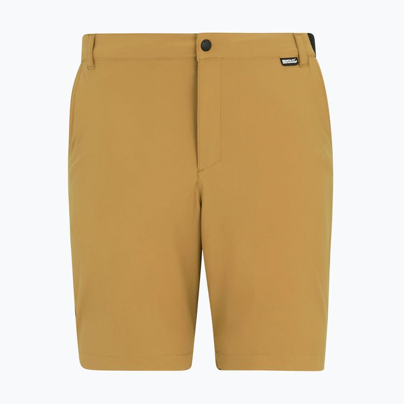 Herren-Trekkingshorts REGATTA Anti Insect Travel Light wood brown 5