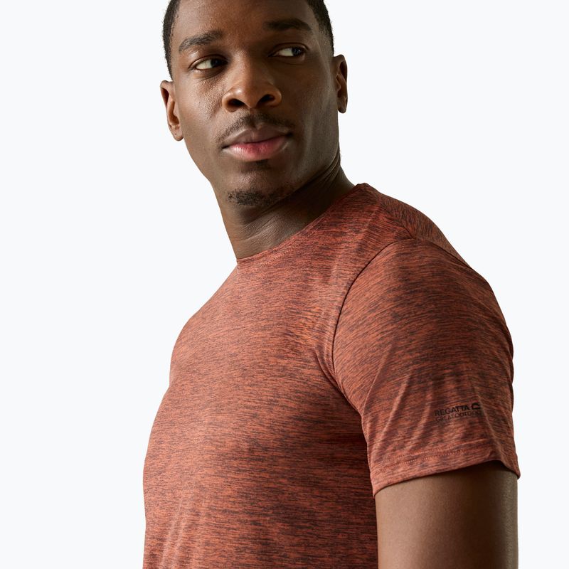 Herren-Trekkingshirt REGATTA Fingal Edition brick 4