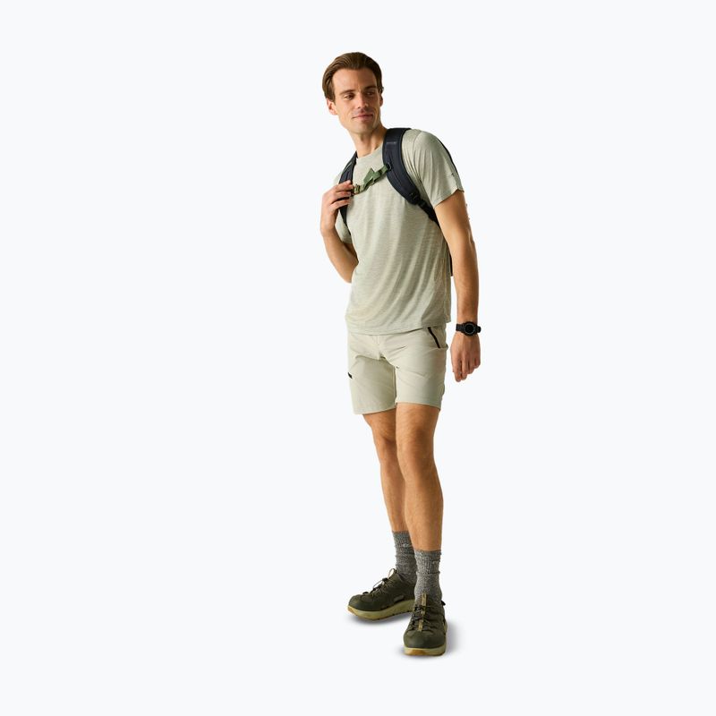 Trekkingshirt Herren REGATTA Fingal Edition light sage 2