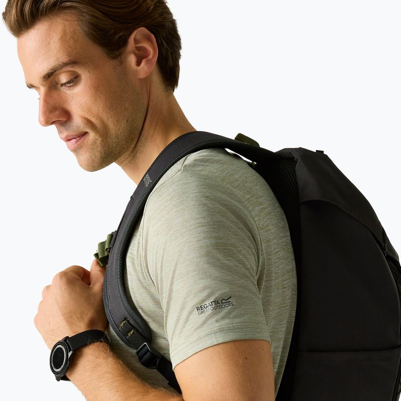 Herren-Trekkingshirt REGATTA Fingal Edition light sage 4