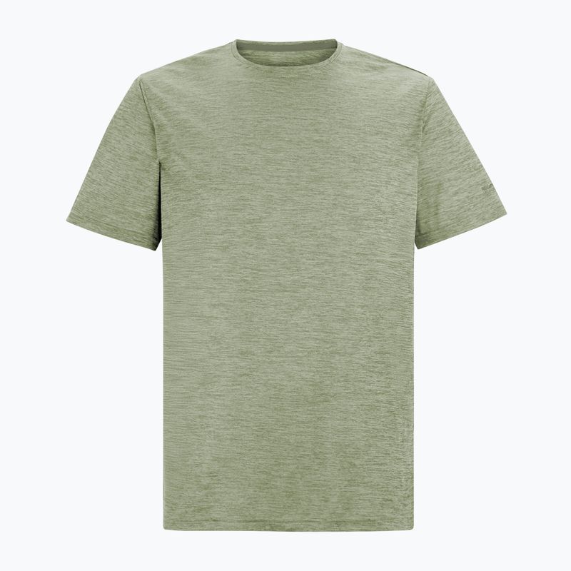 Herren-Trekkingshirt REGATTA Fingal Edition light sage 5
