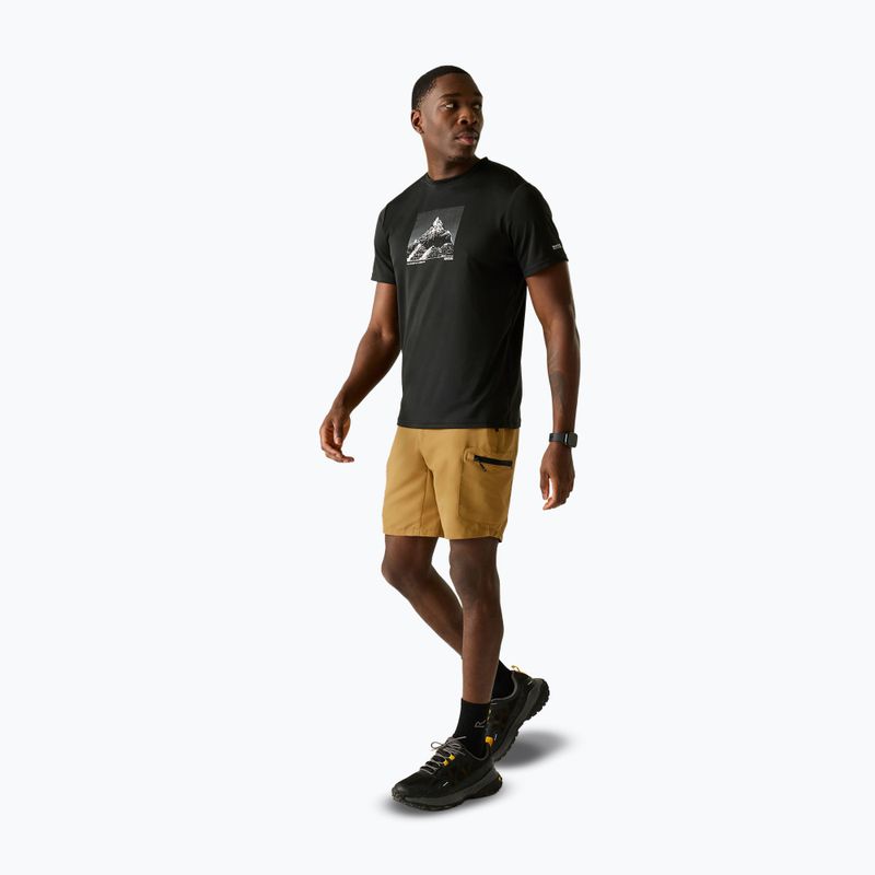 Herren-Trekkingshorts REGATTA Leesville III wood brown 2