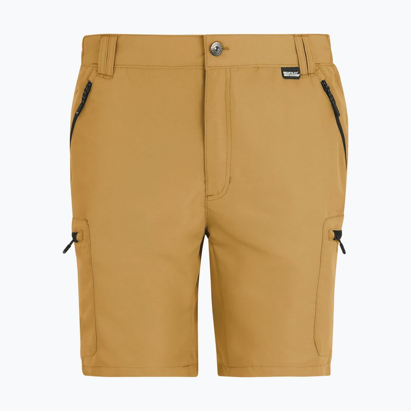 Herren-Trekkingshorts REGATTA Leesville III wood brown 6