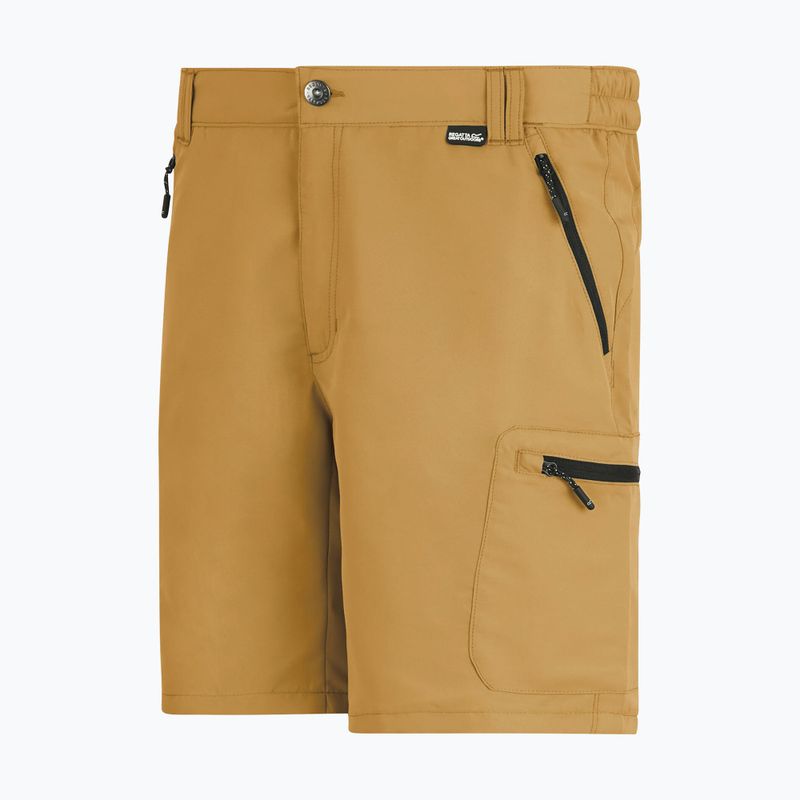 Herren-Trekkingshorts REGATTA Leesville III wood brown 8