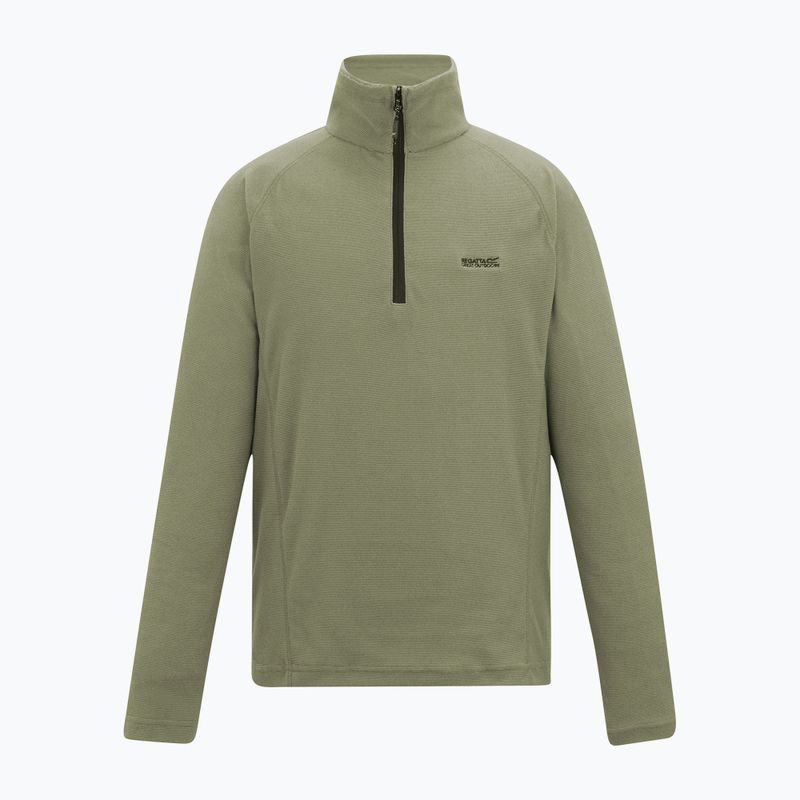 Herrenpullover REGATTA Montes light sage 4
