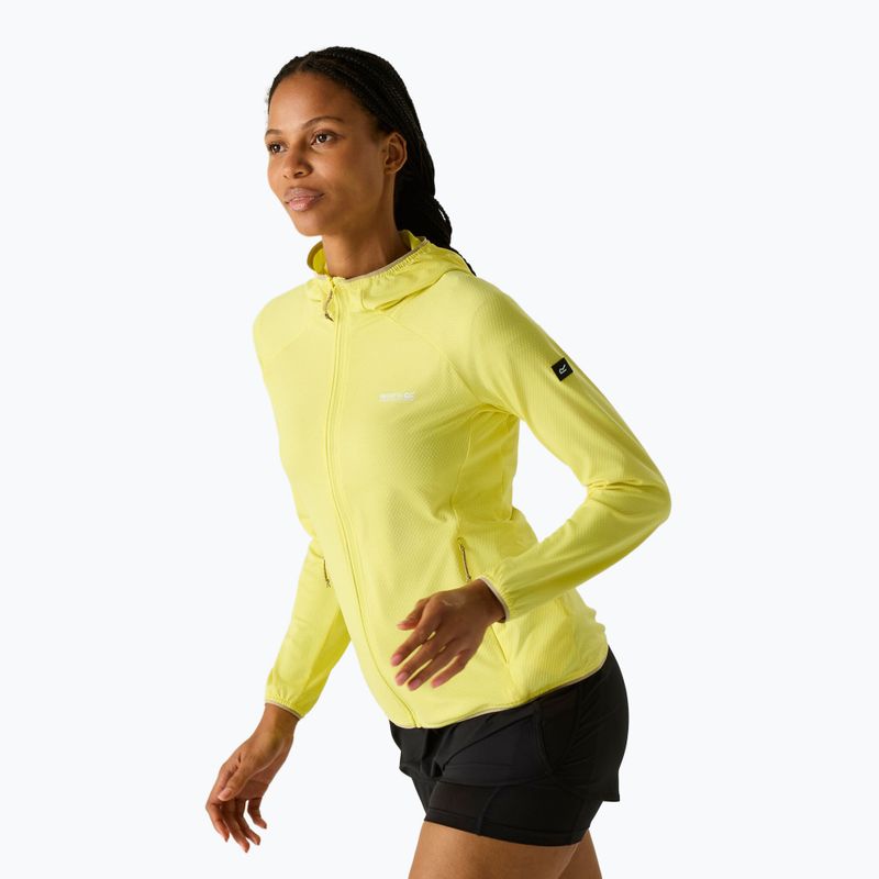 Damen-Trekkingsweatshirt REGATTA Huntdale canary yellow 4