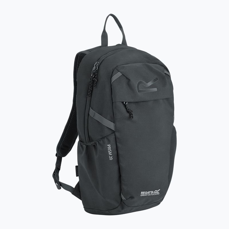 City-Rucksack REGATTA Everyday Prism 20 l ash 2