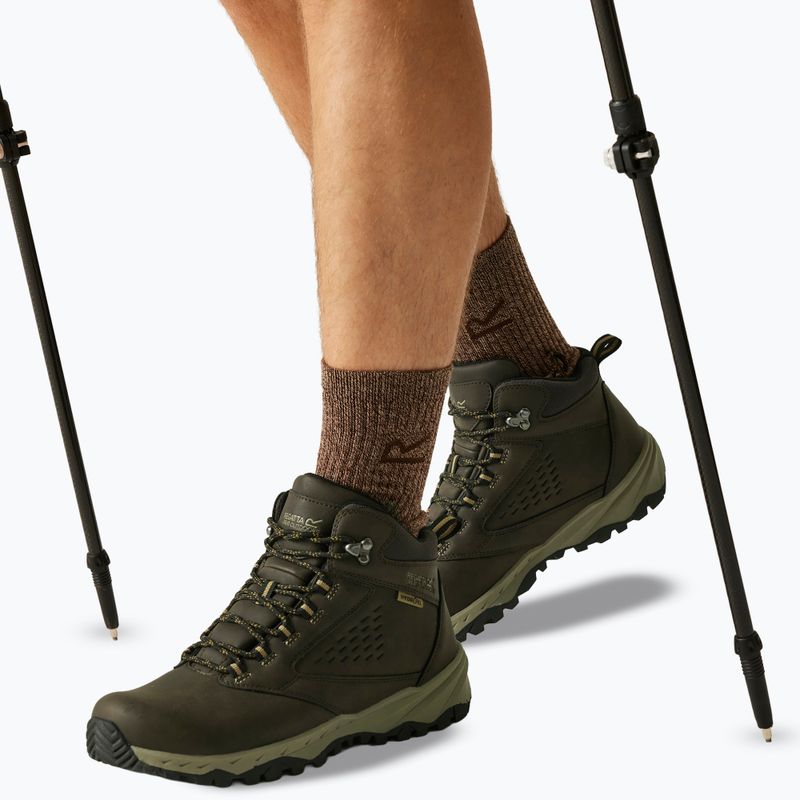 Herren-Trekkingstiefel REGATTA Amble Boot Waterproof peat/tan 6