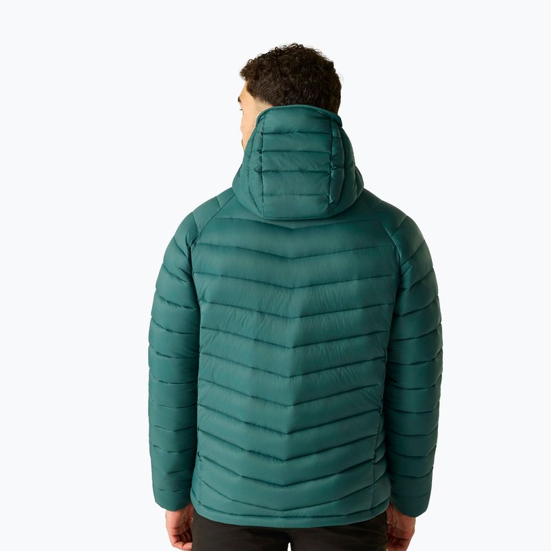 Gefütterte Herrenjacke Dare 2b Torrek Padded Jacket mediterranea 3