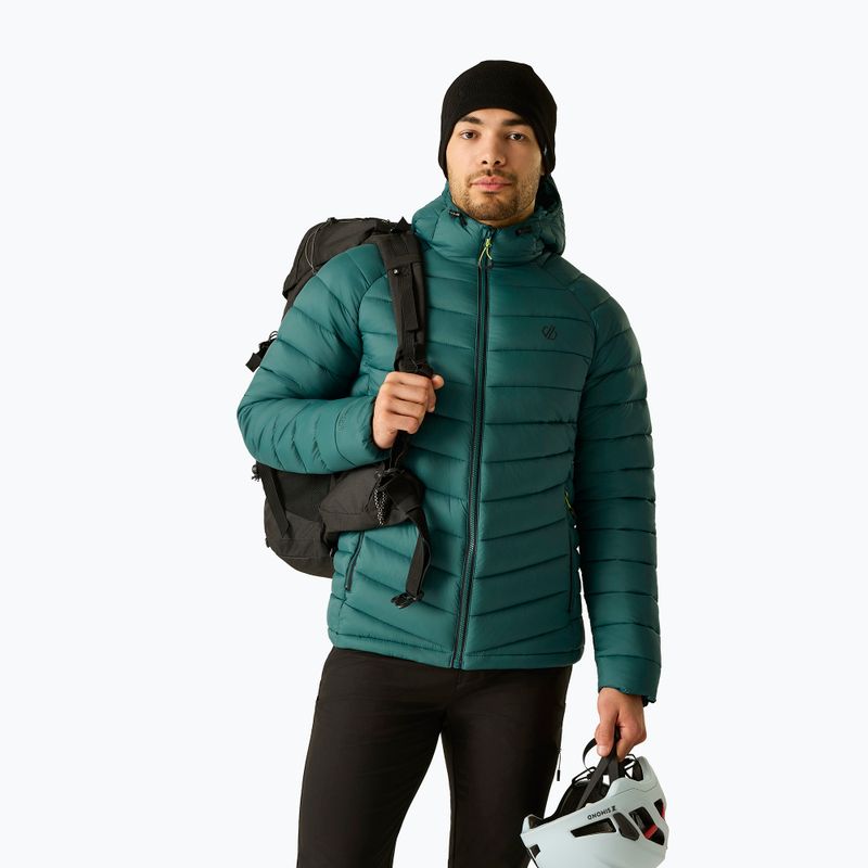 Gefütterte Herrenjacke Dare 2b Torrek Padded Jacket mediterranea 4