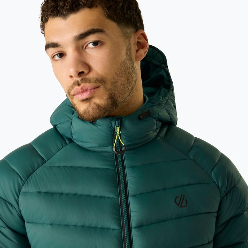 Gefütterte Herrenjacke Dare 2b Torrek Padded Jacket mediterranea 5