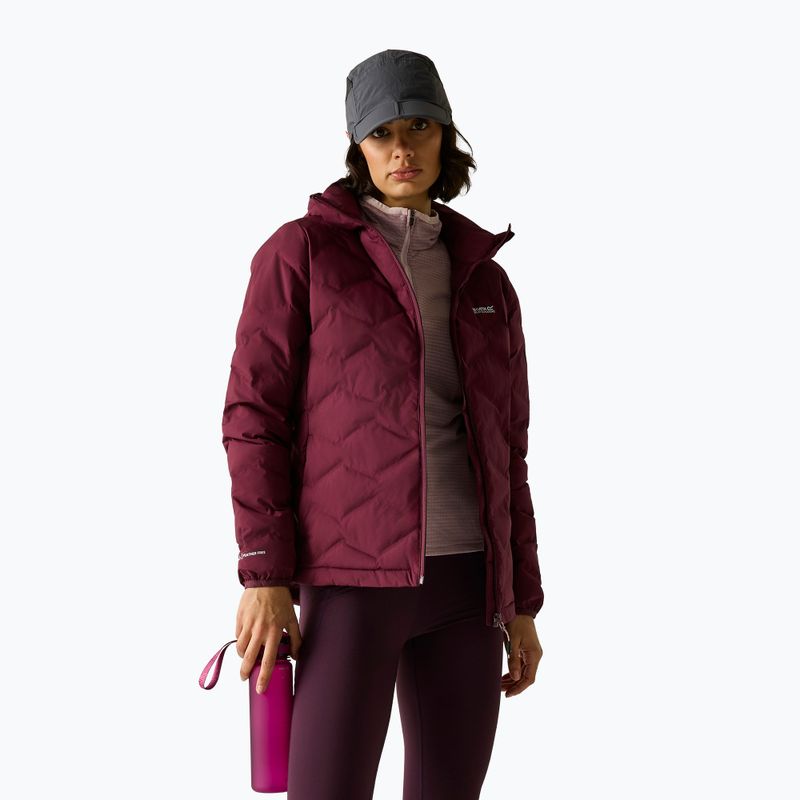 Gefütterte Damenjacke REGATTA Deyla fig 5