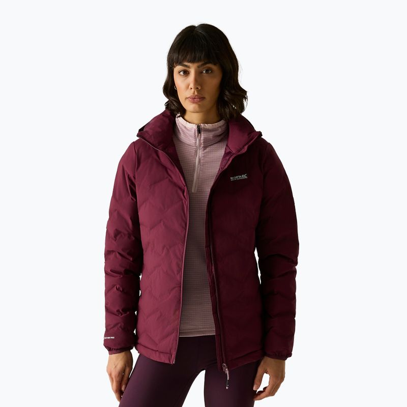Gefütterte Damenjacke REGATTA Deyla fig 6