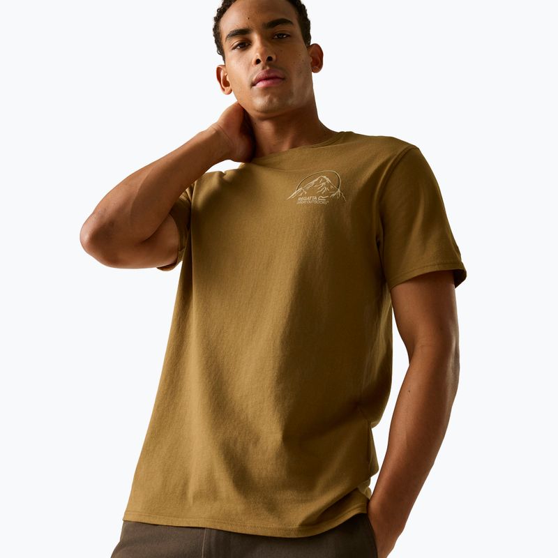 Herren-Shirt Regatta ClineIX rich tan original outdoor 4
